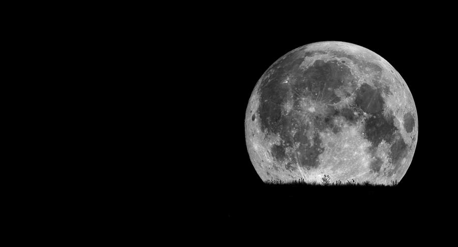 Moon In Black Sky Photograph by Rui Almeida Fotografia