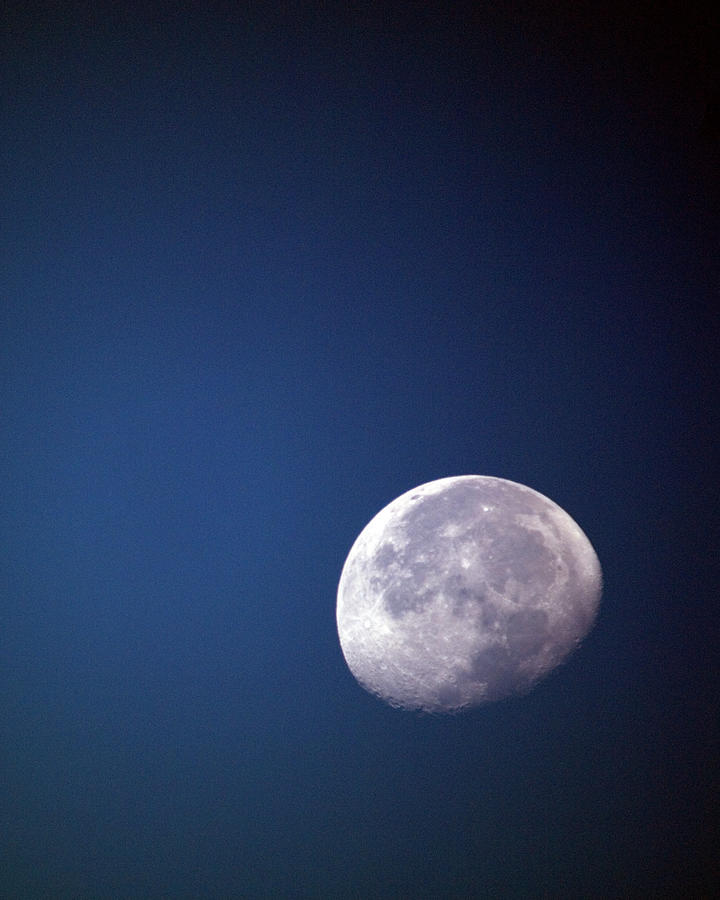 Moon In Mara by Image Captured By Joanne Hedger