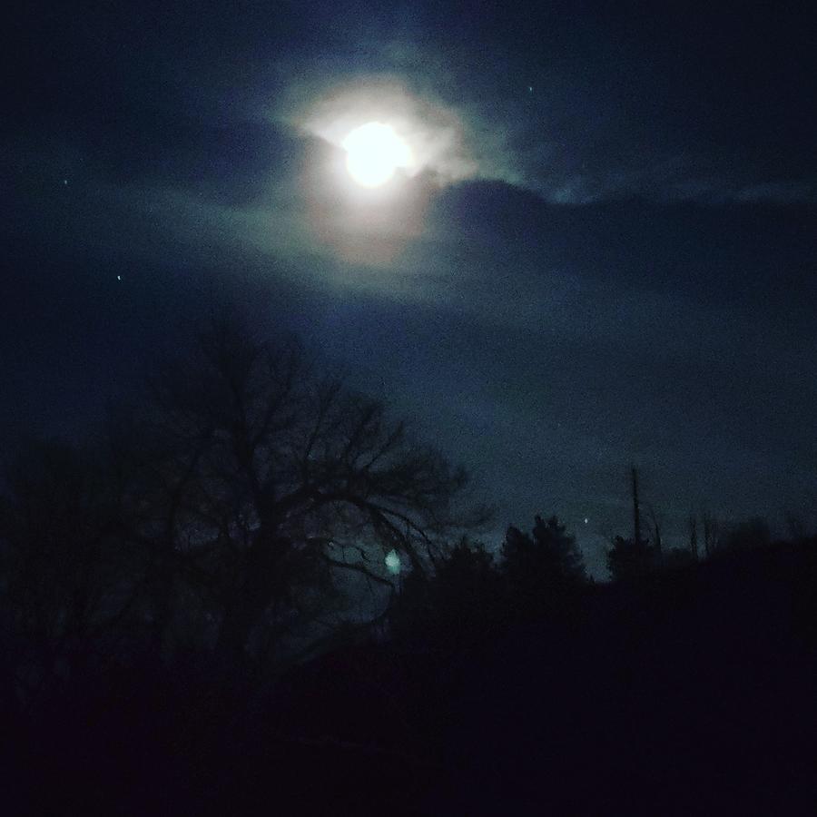 Moon light Photograph by Bradley Calkins - Fine Art America