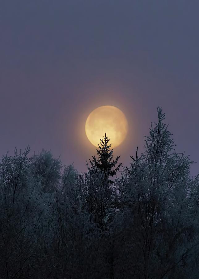 Moon Light Photograph by Rose-Marie Karlsen