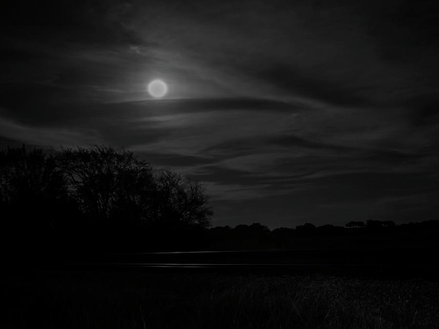 Moonlit Tracks Photograph