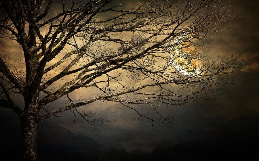 Moon Mood Photograph by Silvana Lingg - Fine Art America