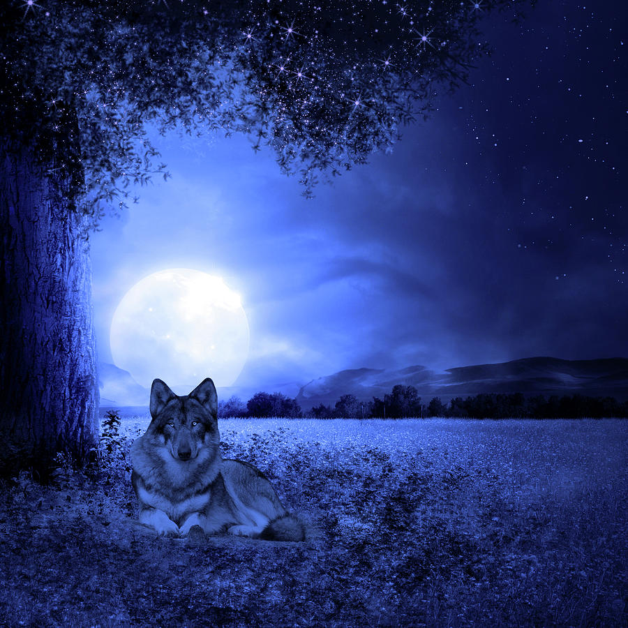 Tree Mixed Media - Moon Night And Wolf by Ata Alishahi