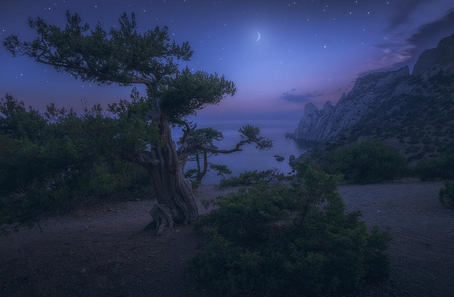 Moon Night Photograph by Kirill Volkov
