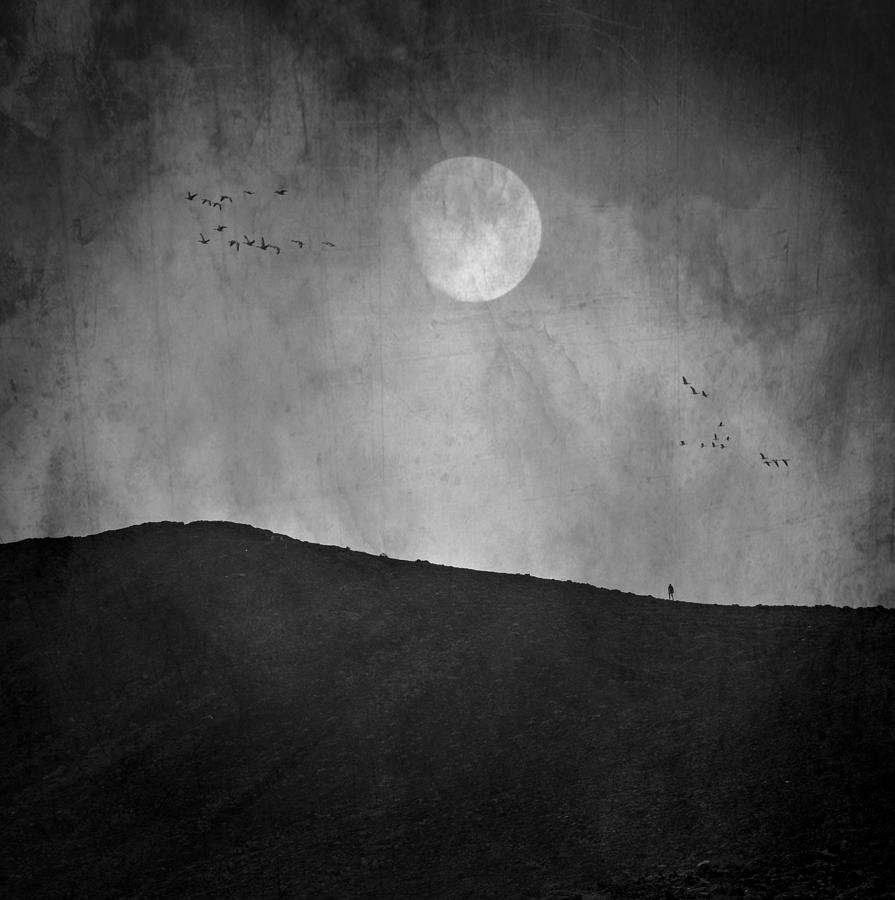 Conceptual Photograph - Moon Night by Robert Fabrowski