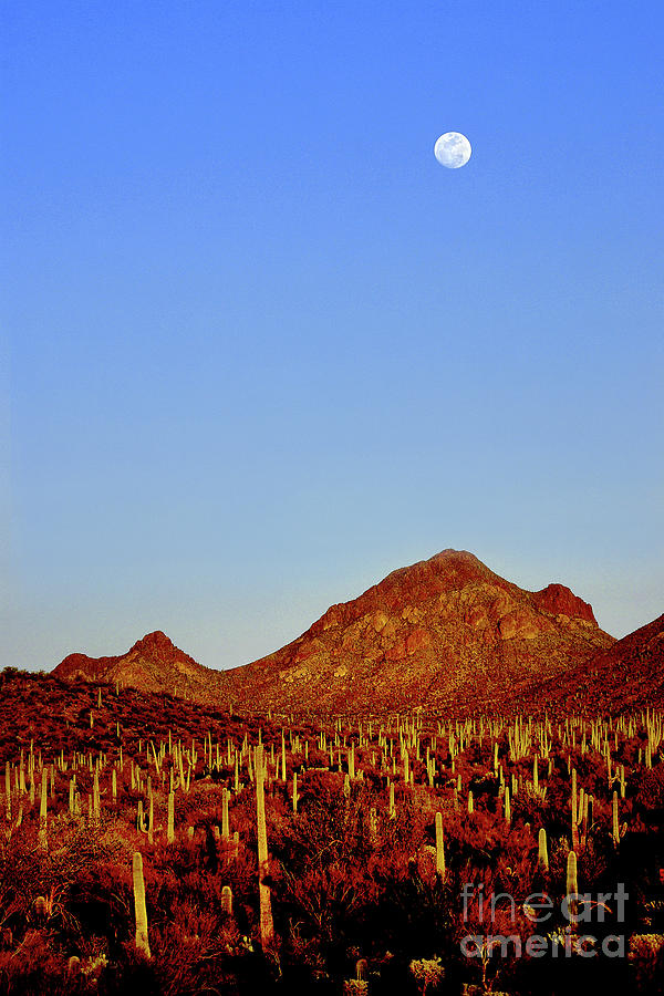 Tucson Photograph - Moonrise Over Bren Mountain by Douglas Taylor