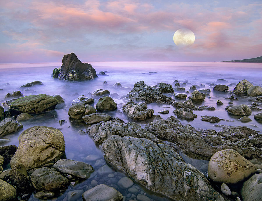 Moon Over El Pescador Photograph by Tim Fitzharris