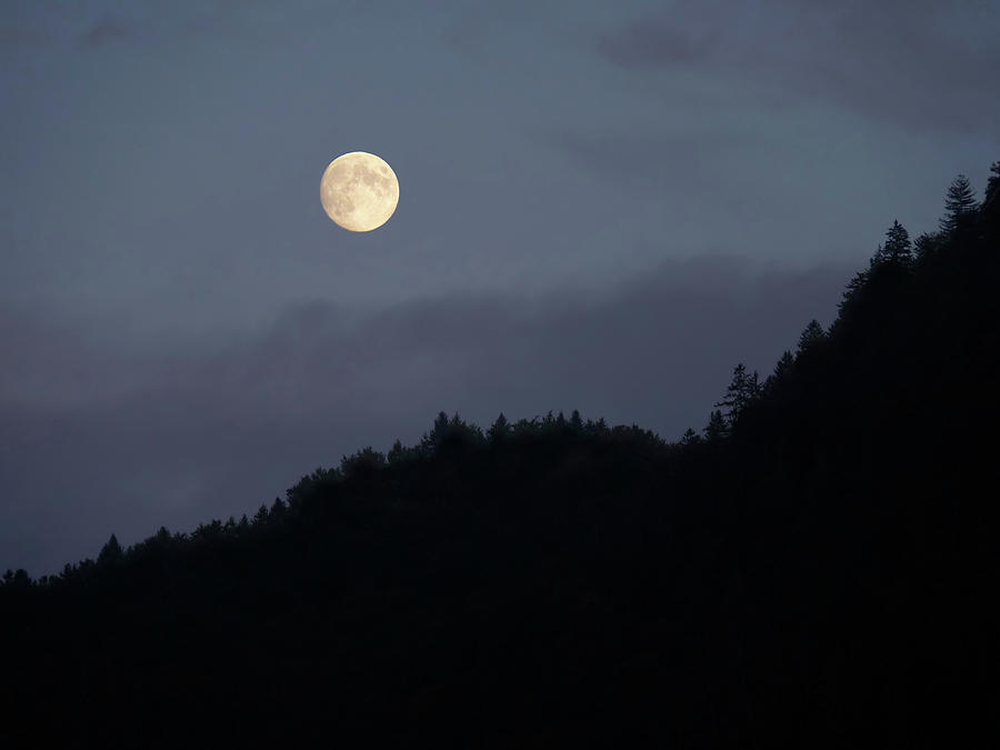 Nature Photograph - Moon over Hill by Menega Sabidussi