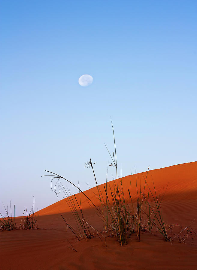 Moon Over The Dubai Desert Photograph by © Naufal Mq