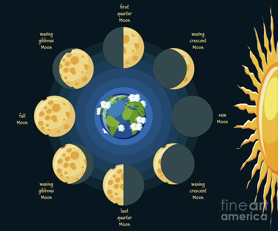 Moon Phases Photograph by Inna Bigun/science Photo Library - Pixels