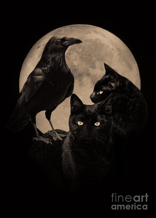 Moon, Raven and Black Cat Magick with Moon Photograph by Stephanie Laird