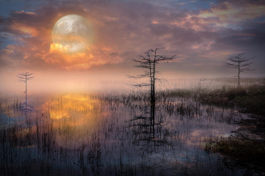 Moon Rise in the Glades Photograph by Debra and Dave Vanderlaan