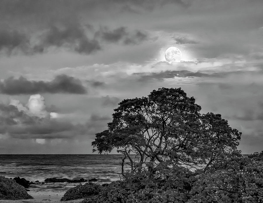 Moon Rise on Sandy Beach in Black and White Photograph by Betty Eich
