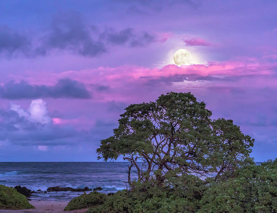 Moon Rise on Sandy Beach in Color Photograph by Betty Eich