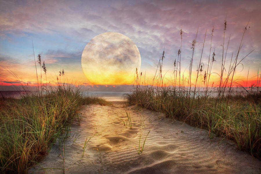 Moon Rise Over the Dunes Photograph by Debra and Dave Vanderlaan