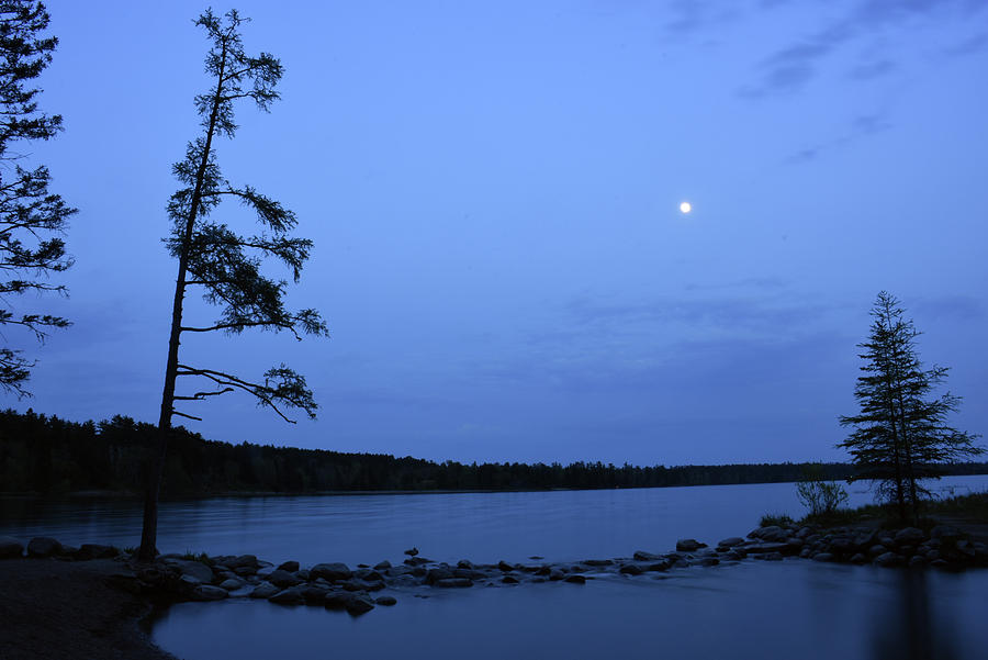 Moon rises above the trees at the Mississippi River Headwaters Photograph by Boyd Carter