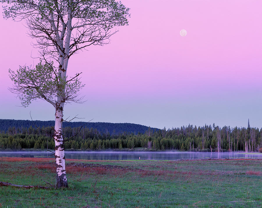 Nature Photograph - Moon Set by Leland D Howard