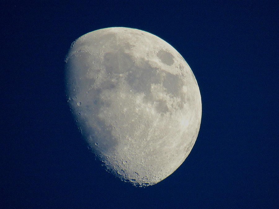 Moon Photograph by Susan Sheppard - Fine Art America