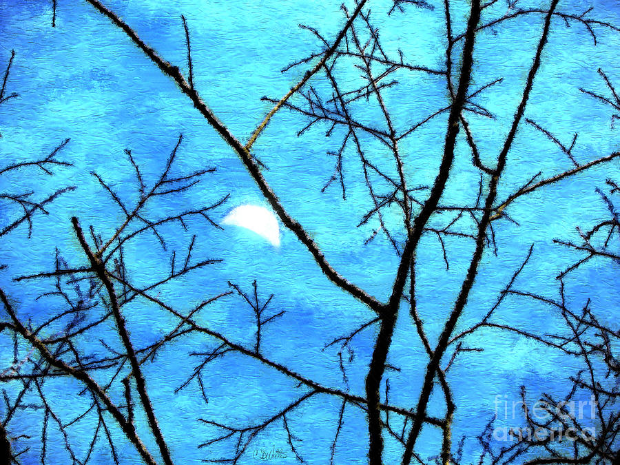 Moon Through Trees Digital Art by Craig Walters
