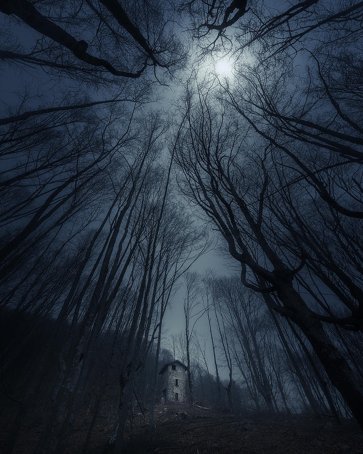 Moon Watchtower Photograph by Filippo Manini