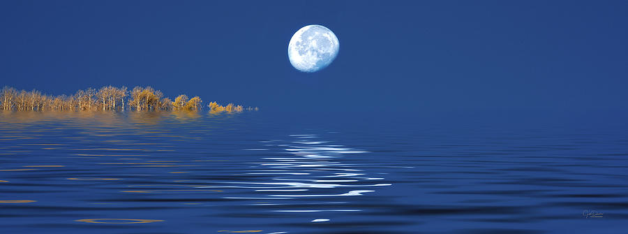 Moon With Reflection Over Lake Digital Art By Judi Dressler