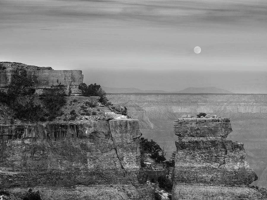Moon, Yaki Point, Grand Canyon Photograph by Tim Fitzharris