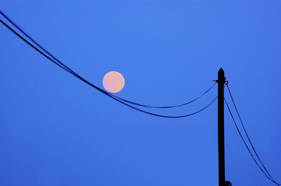 Moondance Photograph by Ulrich Mueller