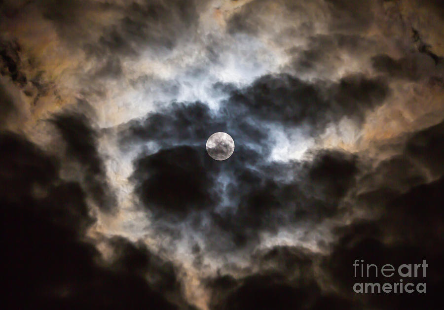 Moonglow 1 by Kevin McCarthy Moonglow 1 by Kevin McCarthy