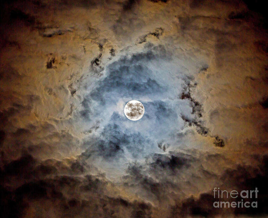 Moonglow 2 by Kevin McCarthy Moonglow 2 by Kevin McCarthy