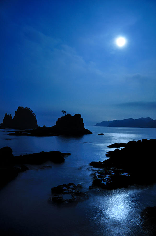 Moonlight Photograph by Ankh