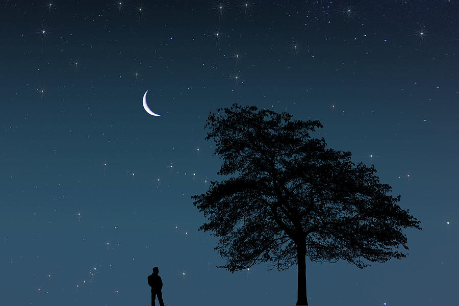 Nature Digital Art - Moonlight Contemplation by Steve Purnell