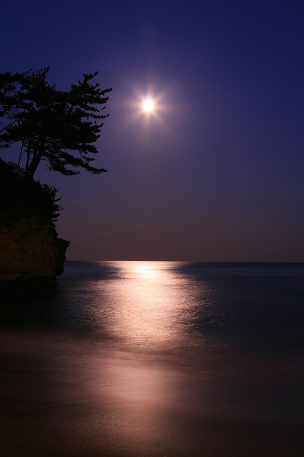 Nature Photograph - Moonlight Cormorant Point by Copyright Crezalyn Nerona Uratsuji