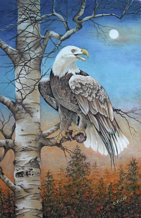 Bird Painting - Moonlight Eagle by Carol J Rupp
