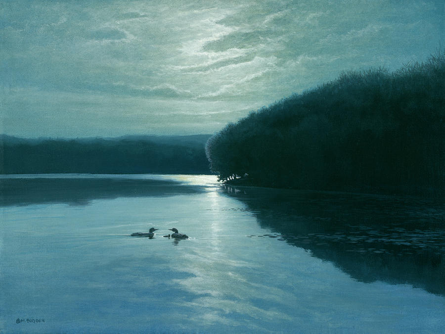 Moonlight Loons Painting by Michael Budden