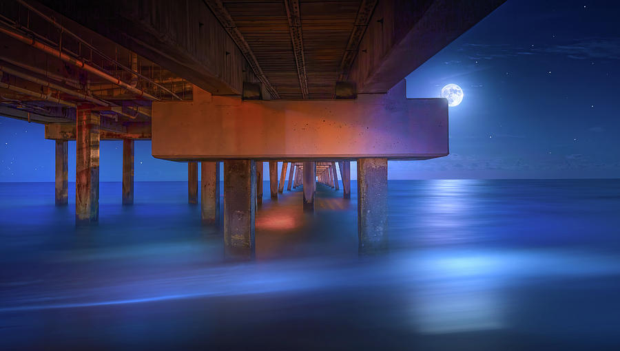 Moonlight Magic Photograph by Mark Andrew Thomas