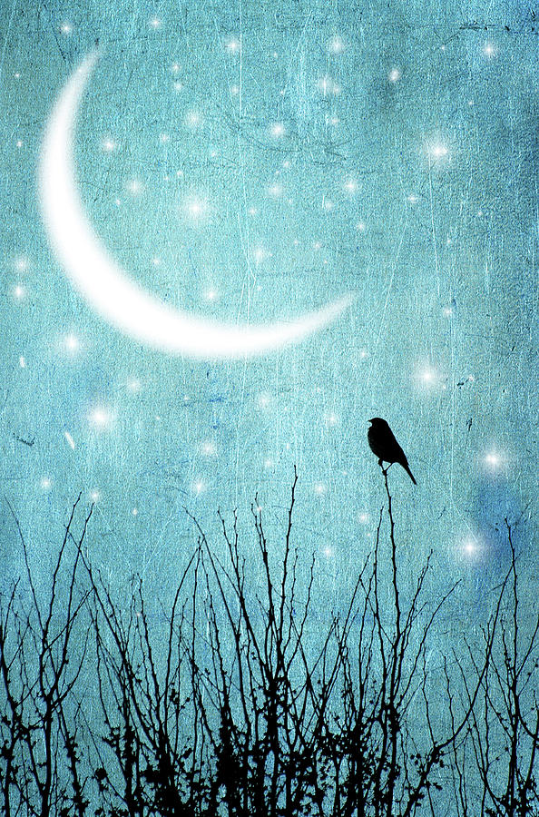 Moonlight Sonata Photograph by Marta Nardini Moonlight Sonata Photograph by Marta Nardini