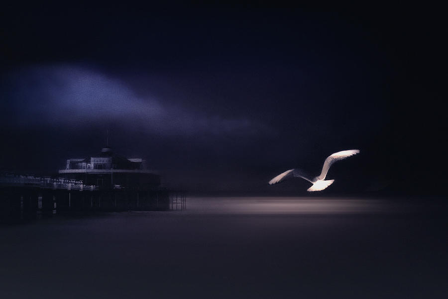 Mood Photograph - Moonlight Sonata by Piet Flour