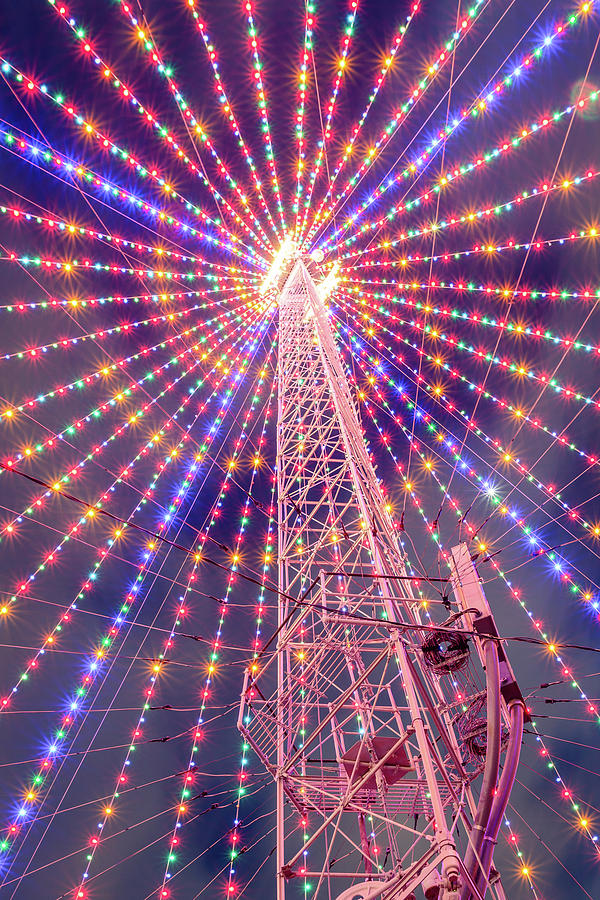 Moonlight Tower Tree Photograph by Slow Fuse Photography