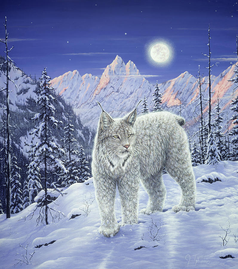 Moonlight Wilderness Painting by Jeff Tift