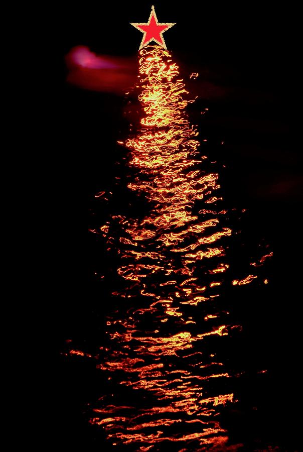 Moonlit Red Star Reflection Photograph by Debra Grace Addison