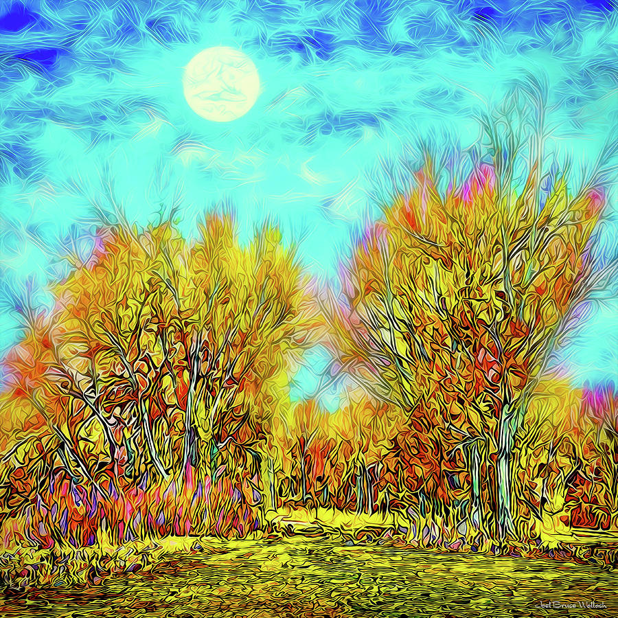 Moonlit Country Road - Boulder County Colorado Digital Art by Joel Bruce Wallach
