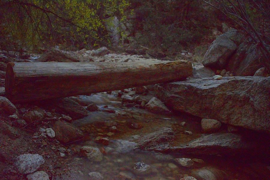 Moonlit Creek  Photograph by Chance Kafka