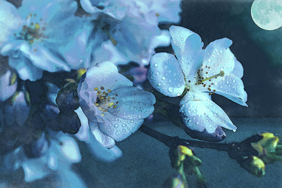 Moonlit Night In The Blooming Garden by Alex Mir Moonlit Night In The Blooming Garden by Alex Mir