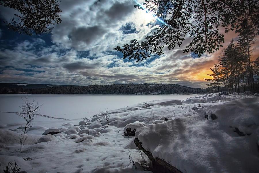 Winter Photograph - Moonlit night by Rose-Marie karlsen
