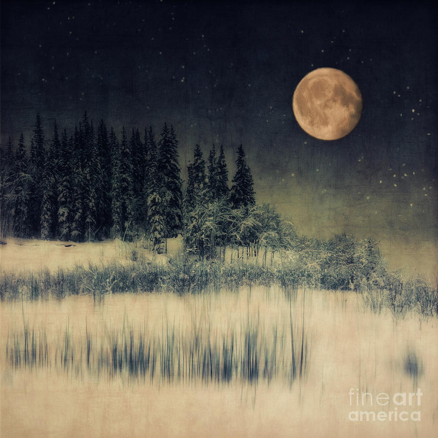 Winter Photograph - Moonlit by Priska Wettstein