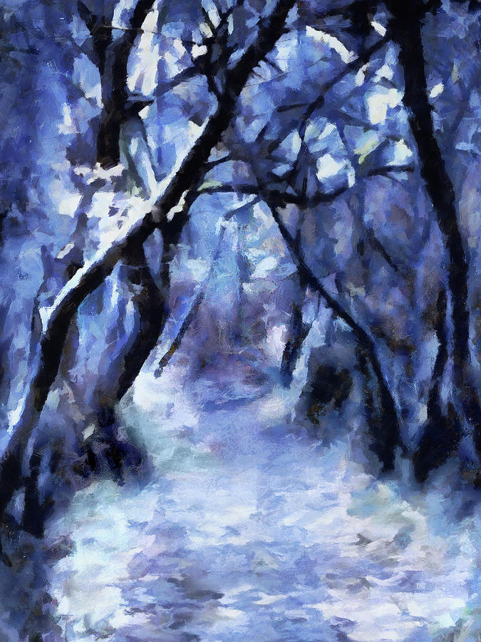 Moonlit Winter Woodpath Digital Art by Menega Sabidussi