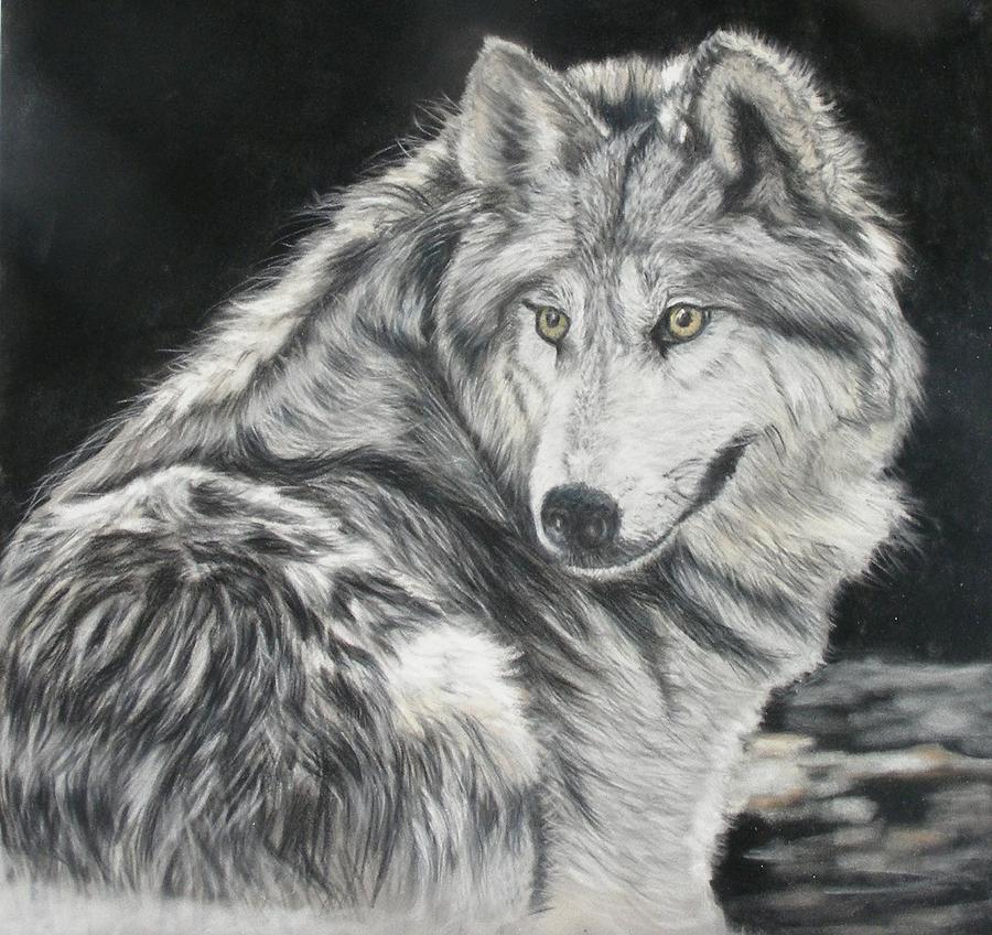 Wolves Pastel - Moonlit Wolf by Louise Dubois