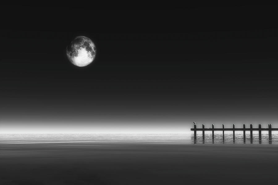 Moonrise and Pier Digital Art by Jan Keteleer