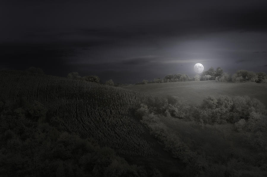 Landscape Photograph - Moonrise by Filippo Manini
