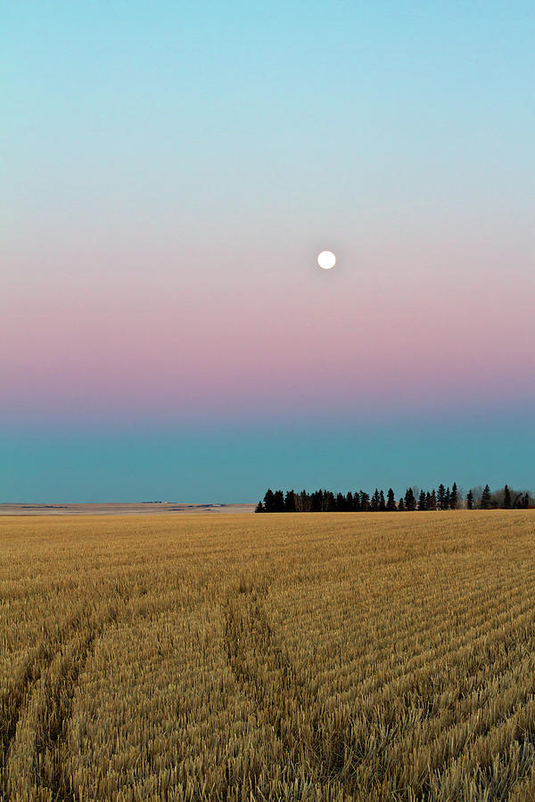 Moonrise Photograph by Images By Christine De Bruyn Photography